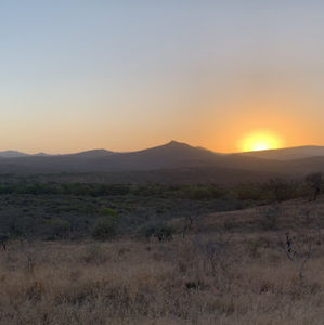 Meet your Posher, Max